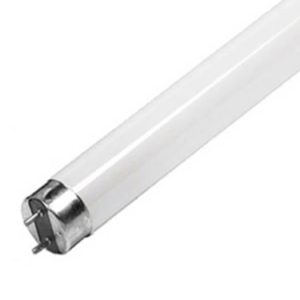 Lampada Fluorescente Ultravioleta BL T8 10W (30cm) p/ Mata-Moscas