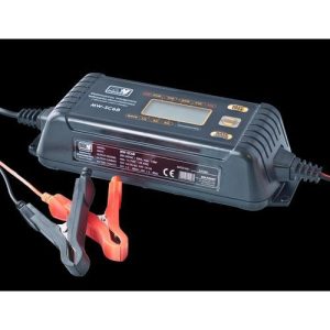 Carregador Automático de Baterias Chumbo e Gel 12V/24V